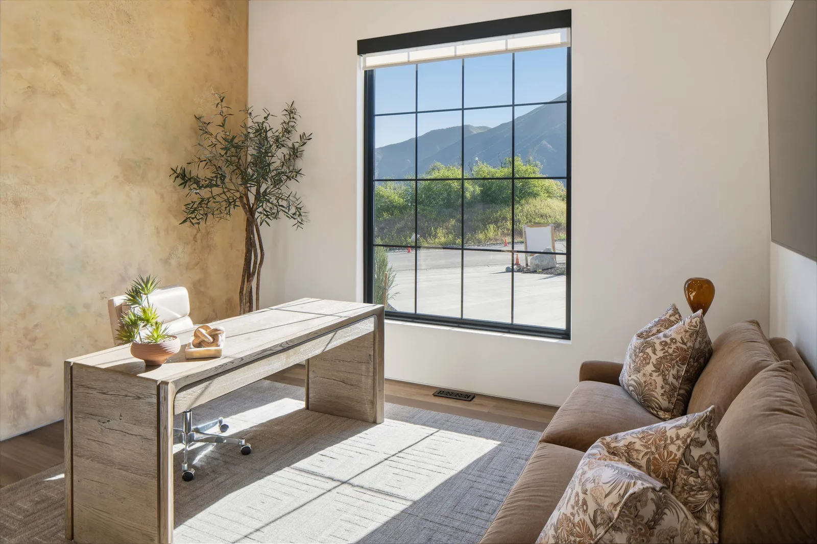 Wood desk, olive tree